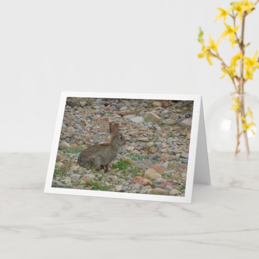 Wild Rabbit in Platteland Kaart (Gele Bloem)