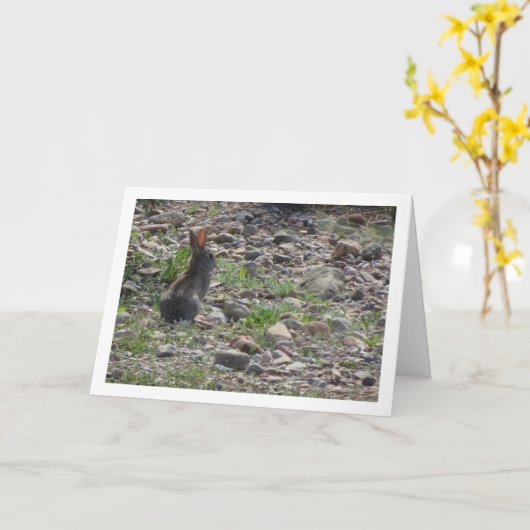 Wild Rabbit in Platteland Kaart (Gele Bloem)