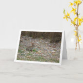 Wild Rabbit in Platteland Kaart (Gele Bloem)