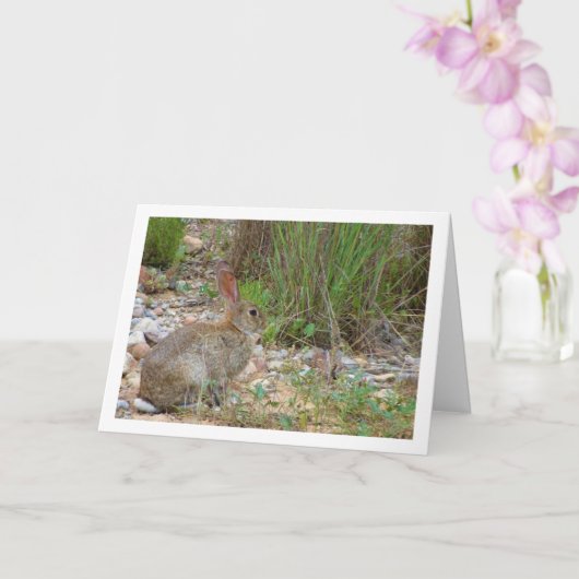 Wild Rabbit in Platteland Kaart (Orchidee)