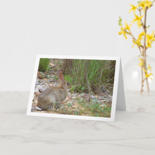 Wild Rabbit in Platteland Kaart (Gele Bloem)