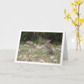 Wild Rabbit in Platteland Kaart (Gele Bloem)