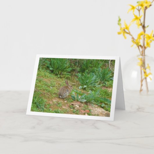 Wild Rabbit in Platteland Kaart (Gele Bloem)