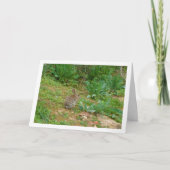 Wild Rabbit in Platteland Kaart (Voorkant)