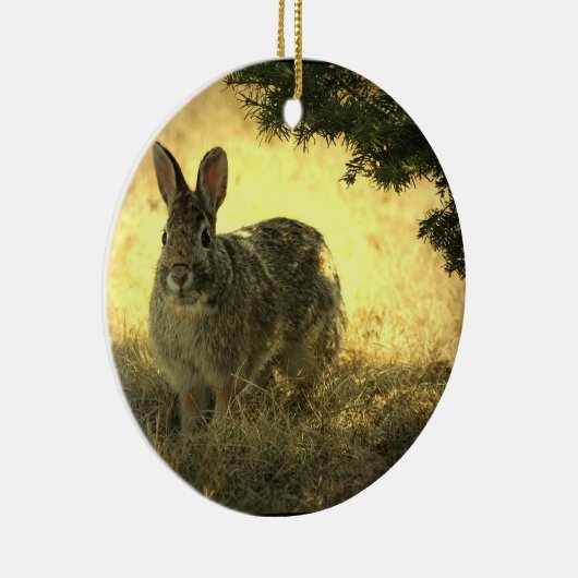 Wild Rabbit Photo Ornament (Rechts)
