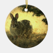 Wild Rabbit Photo Ornament (Voorkant)