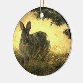 Wild Rabbit Photo Ornament (Links)