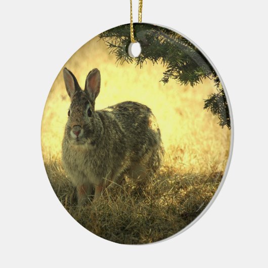 Wild Rabbit Photo Ornament (Links)