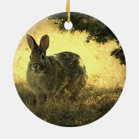 Wild Rabbit Photo Ornament (Achterkant)