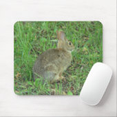 Wild Rabbit Resting Muismat (Met muis)