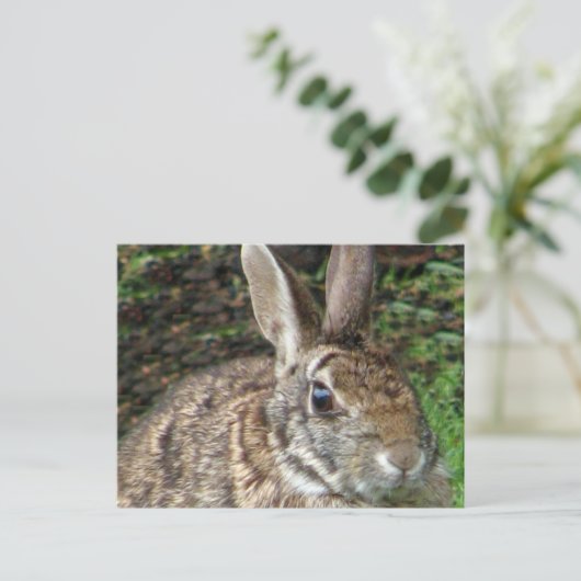 Wild Rabbit Up Close Briefkaart (Staand voorkant)