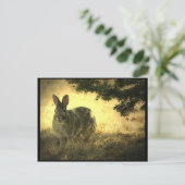 Wild Rabbits Briefkaart (Staand voorkant)