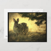 Wild Rabbits Briefkaart (Voorkant / Achterkant)