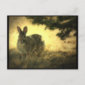 Wild Rabbits Briefkaart (Voorkant)