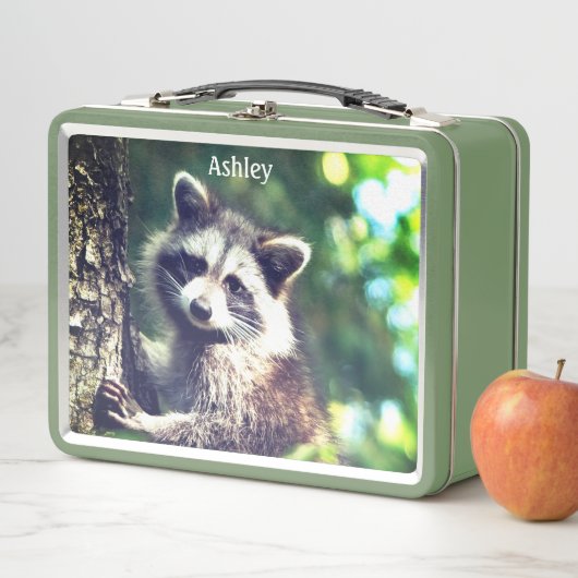 Wild Raccoon op het Oerwoud (In situ)