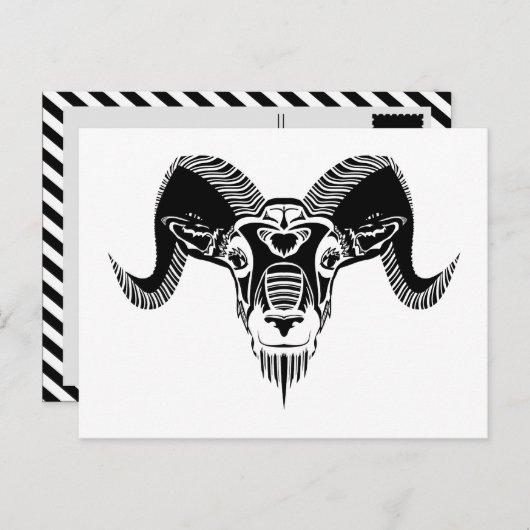 wild ram briefkaart (Voorkant / Achterkant)