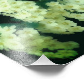 Wild Rambling Witte Rozen 8x10 Foto Afdruk (Hoek)