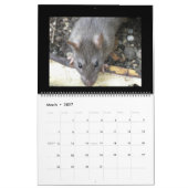 Wild Rats 2015 Agenda Kalender (Mar 2027)