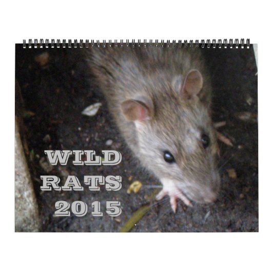 Wild Rats 2015 Agenda Kalender (Hoes)