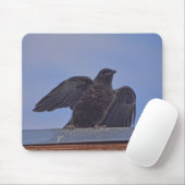 Wild Raven en Roof Wildlife Foto Gift Muismat (Met muis)