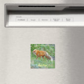 Wild Red Fox Animal Wildlife Fun Magnet (Insitu (Vaatwasser))