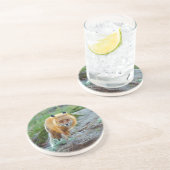 Wild Red Fox Vixen Wildlife Foto Kunst Zandsteen Onderzetter (Zijkant)