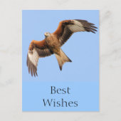 Wild Red Kites Briefkaart (Voorkant)