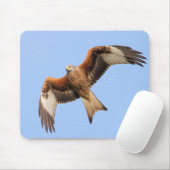 Wild Red Kites Muismat (Met muis)