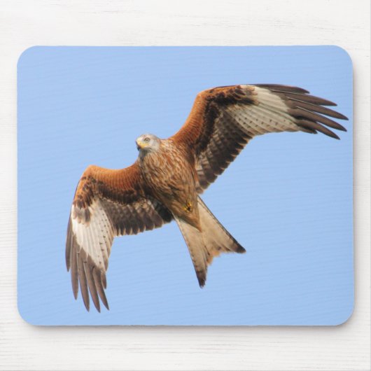 Wild Red Kites Muismat (Voorkant)