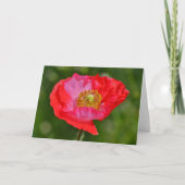 Wild Red Pink Poppy Flower Art Note Kaart (Voorkant)