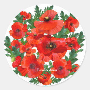 Wild Red Poppies Ronde Sticker