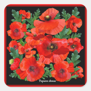 Wild Red Poppies Vierkante Sticker