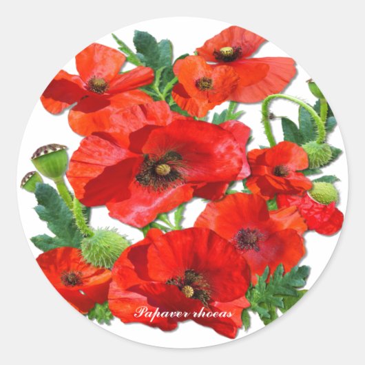 WILD RED POPPY RONDE STICKER (Voorkant)