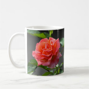 Wild Red Rose - mok