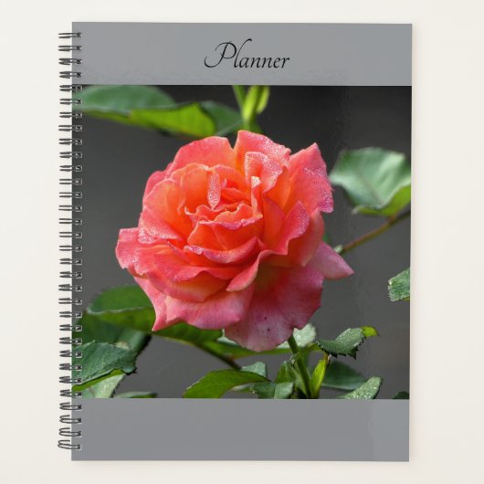 Wild Red Rose - Planner (Voorkant)