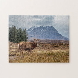 Wild Red stag in Glencoe Scotland Legpuzzel