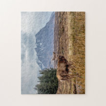 Wild Red stag in Glencoe Scotland