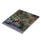 Wild Red stag in Scotland Tile Tegeltje (Zijkant)