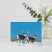 Wild Reindeer Briefkaart (Staand voorkant)