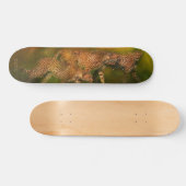 Wild Ride - Cheetah World Skateboard (Horizontaal)