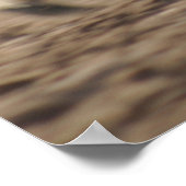 Wild Ride Poster (Hoek)