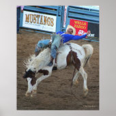 Wild Ride - Reno Rodeo 2010 Poster (Voorkant)