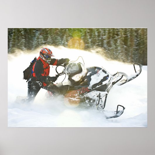 Wild Ride Snowmobile print (Voorkant)