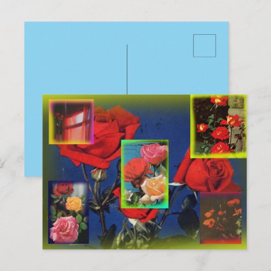 Wild Roos Collage Briefkaart (Voorkant / Achterkant)