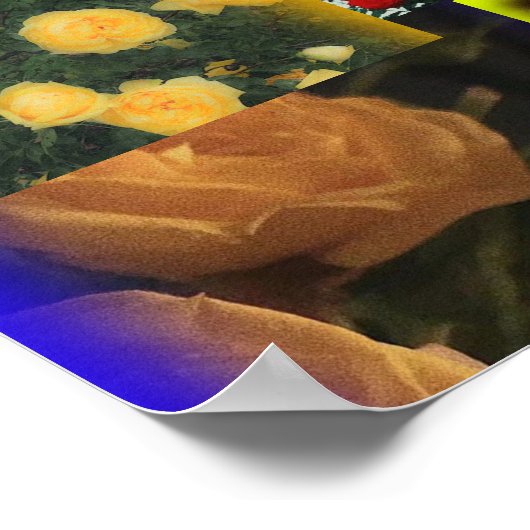 Wild Roos Collage Poster (Hoek)