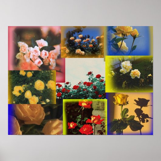 Wild Roos Collage Poster (Voorkant)