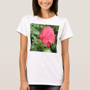 Wild Roos Dames T Shirt