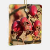 Wild Roos Hips-kerstversiering Keramisch Ornament (Rechts)
