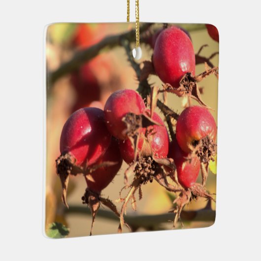 Wild Roos Hips-kerstversiering Keramisch Ornament (Rechts)