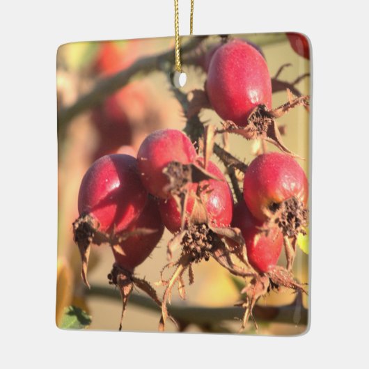 Wild Roos Hips-kerstversiering Keramisch Ornament (Links)